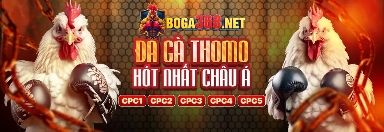 Tải ứng dụng mcw678 win để cá cược trực tuyến